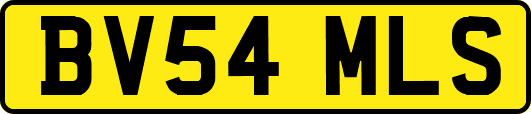 BV54MLS