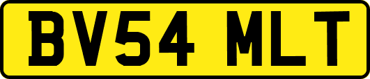BV54MLT