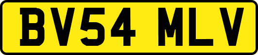 BV54MLV