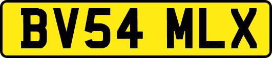 BV54MLX