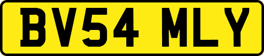 BV54MLY