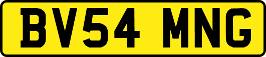 BV54MNG