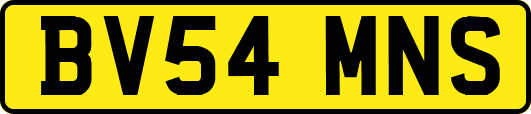 BV54MNS