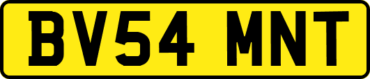 BV54MNT