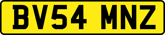 BV54MNZ