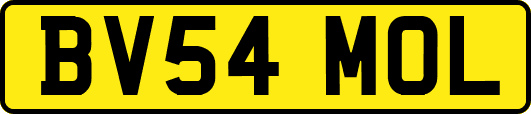 BV54MOL