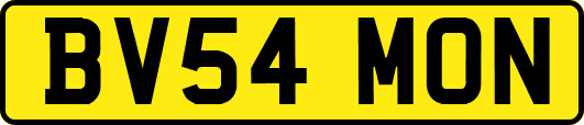 BV54MON