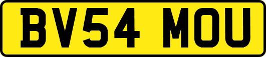 BV54MOU