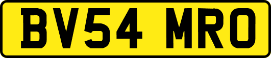BV54MRO