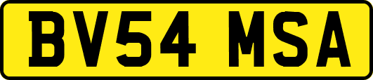 BV54MSA