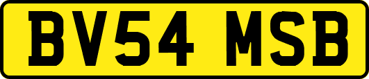 BV54MSB