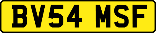 BV54MSF