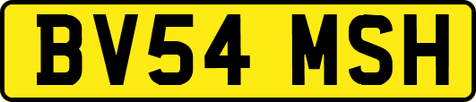 BV54MSH