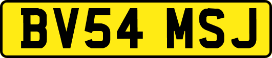 BV54MSJ