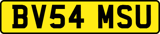BV54MSU