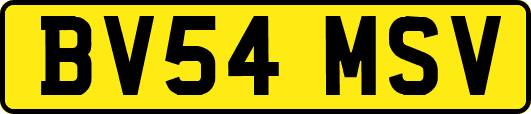 BV54MSV