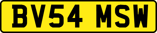 BV54MSW