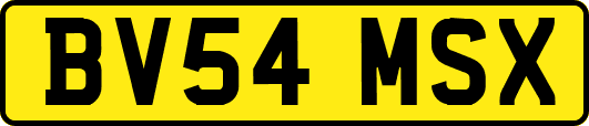 BV54MSX