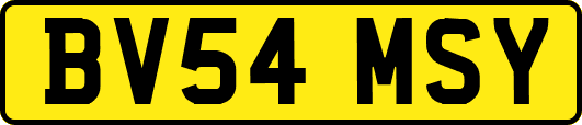 BV54MSY