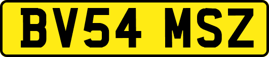 BV54MSZ