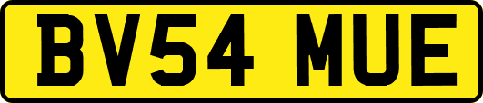 BV54MUE