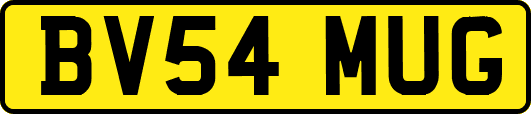 BV54MUG