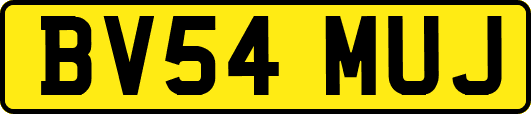 BV54MUJ