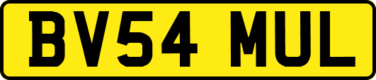 BV54MUL