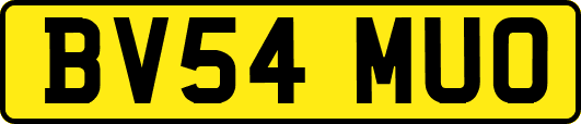 BV54MUO