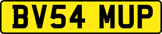 BV54MUP