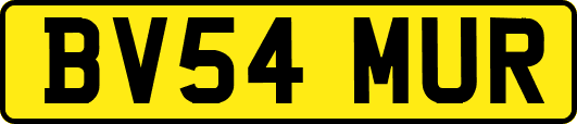 BV54MUR