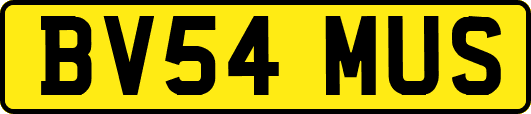 BV54MUS