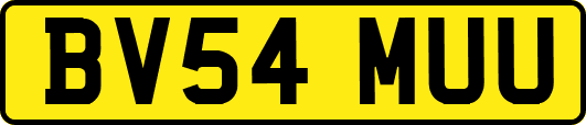BV54MUU