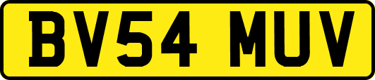 BV54MUV