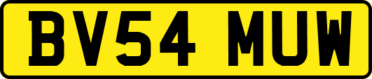 BV54MUW