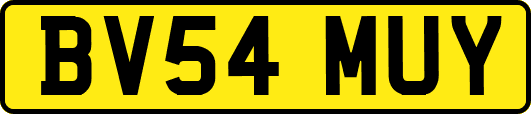 BV54MUY