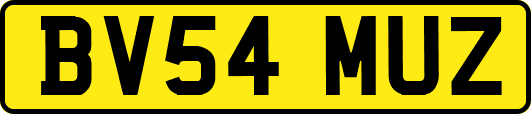 BV54MUZ