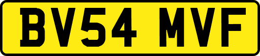 BV54MVF