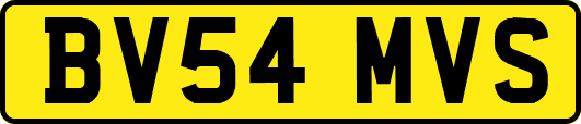 BV54MVS