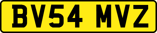 BV54MVZ
