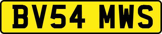 BV54MWS