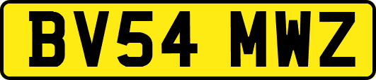 BV54MWZ