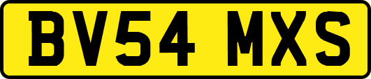 BV54MXS