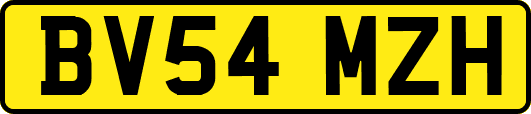 BV54MZH