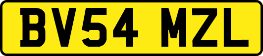 BV54MZL