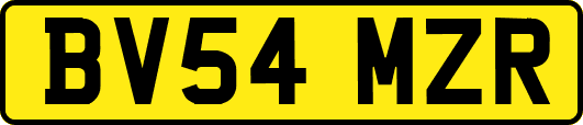 BV54MZR
