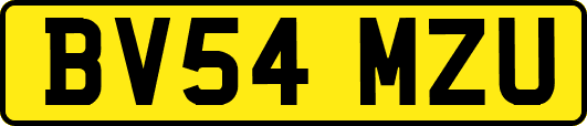 BV54MZU