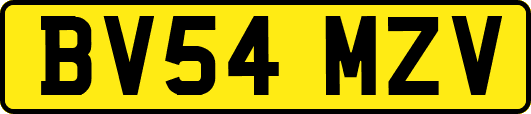 BV54MZV