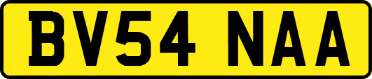 BV54NAA