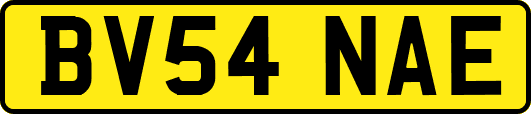 BV54NAE